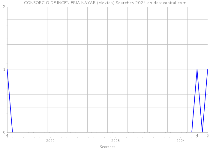 CONSORCIO DE INGENIERIA NAYAR (Mexico) Searches 2024 
