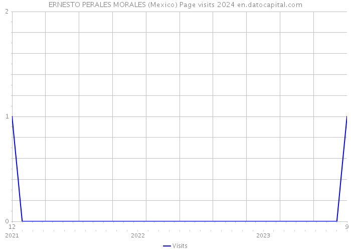 ERNESTO PERALES MORALES (Mexico) Page visits 2024 