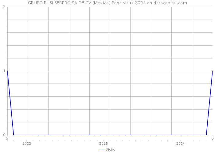 GRUPO PUBI SERPRO SA DE CV (Mexico) Page visits 2024 