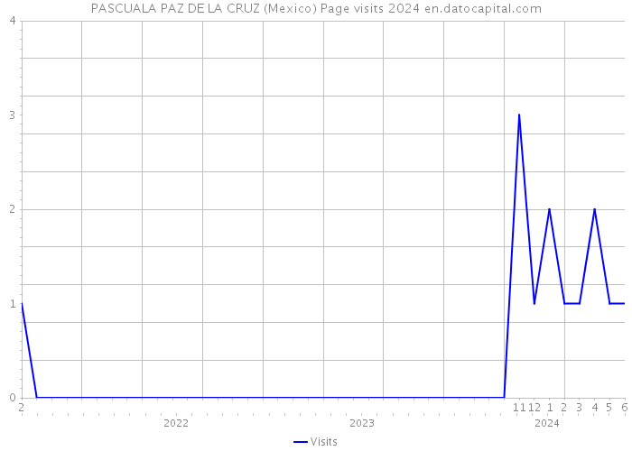 PASCUALA PAZ DE LA CRUZ (Mexico) Page visits 2024 