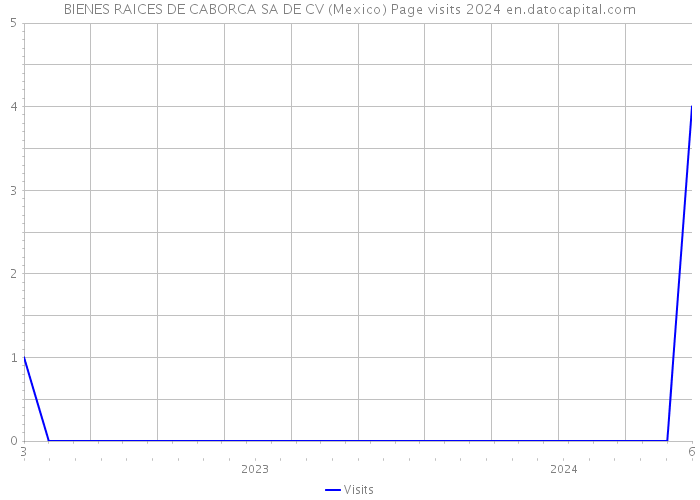 BIENES RAICES DE CABORCA SA DE CV (Mexico) Page visits 2024 