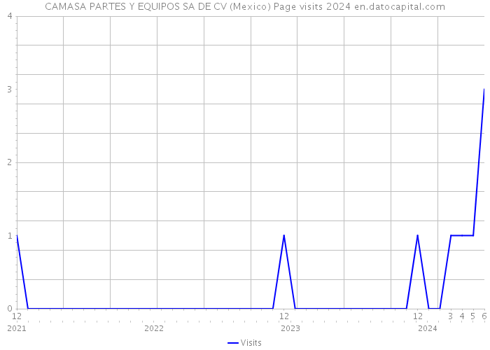 CAMASA PARTES Y EQUIPOS SA DE CV (Mexico) Page visits 2024 