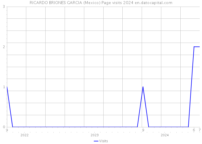 RICARDO BRIONES GARCIA (Mexico) Page visits 2024 