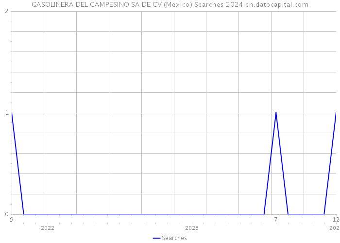GASOLINERA DEL CAMPESINO SA DE CV (Mexico) Searches 2024 