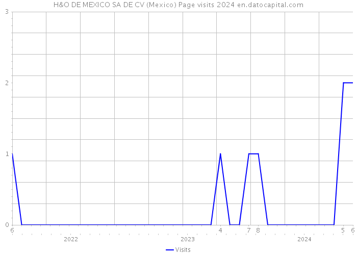 H&O DE MEXICO SA DE CV (Mexico) Page visits 2024 
