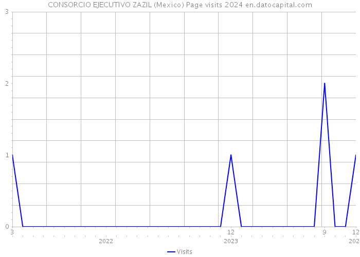 CONSORCIO EJECUTIVO ZAZIL (Mexico) Page visits 2024 