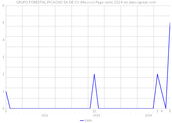 GRUPO FORESTAL PICACHO SA DE CV (Mexico) Page visits 2024 