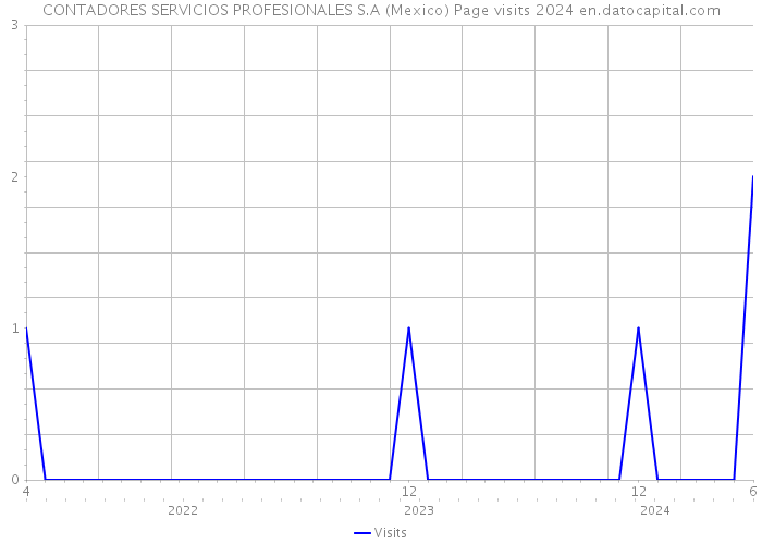 CONTADORES SERVICIOS PROFESIONALES S.A (Mexico) Page visits 2024 