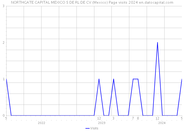 NORTHGATE CAPITAL MEXICO S DE RL DE CV (Mexico) Page visits 2024 