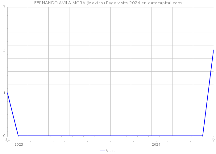 FERNANDO AVILA MORA (Mexico) Page visits 2024 