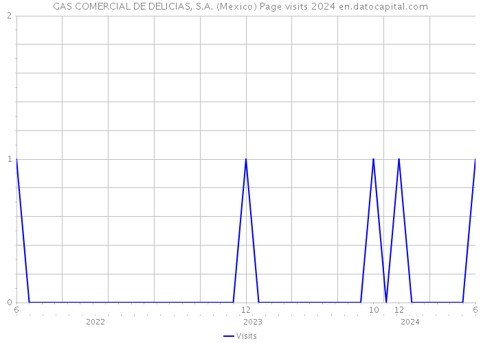 GAS COMERCIAL DE DELICIAS, S.A. (Mexico) Page visits 2024 