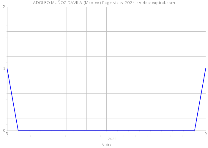 ADOLFO MUÑOZ DAVILA (Mexico) Page visits 2024 