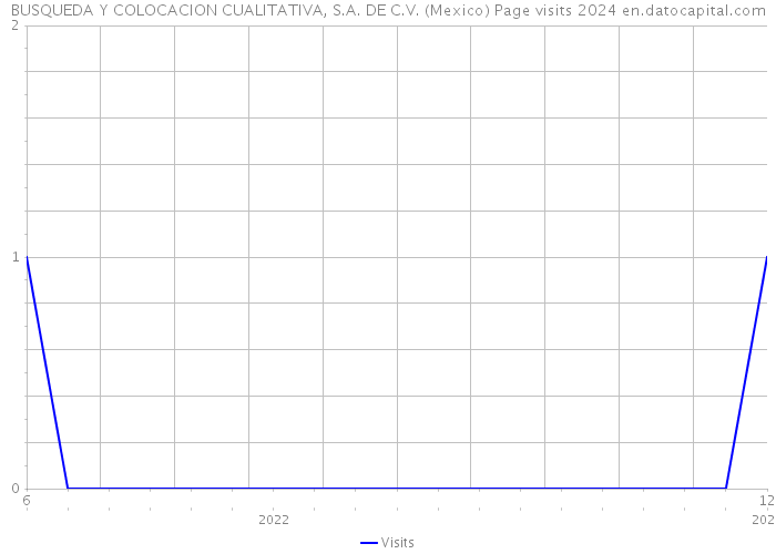 BUSQUEDA Y COLOCACION CUALITATIVA, S.A. DE C.V. (Mexico) Page visits 2024 
