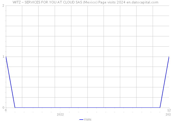 WITZ - SERVICES FOR YOU AT CLOUD SAS (Mexico) Page visits 2024 