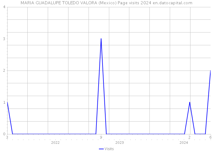 MARIA GUADALUPE TOLEDO VALORA (Mexico) Page visits 2024 