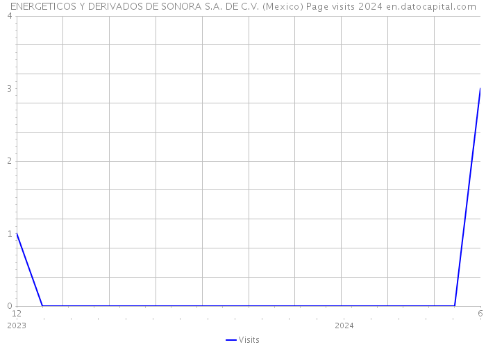 ENERGETICOS Y DERIVADOS DE SONORA S.A. DE C.V. (Mexico) Page visits 2024 
