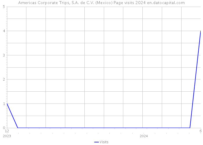 Americas Corporate Trips, S.A. de C.V. (Mexico) Page visits 2024 