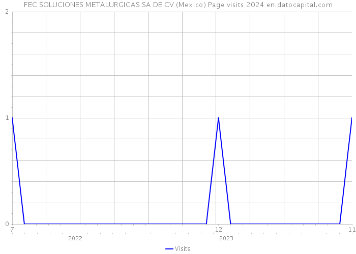 FEC SOLUCIONES METALURGICAS SA DE CV (Mexico) Page visits 2024 