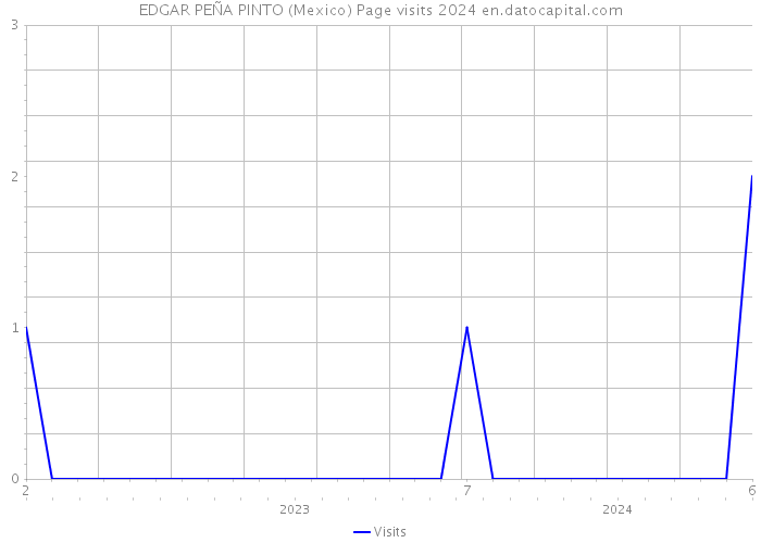 EDGAR PEÑA PINTO (Mexico) Page visits 2024 