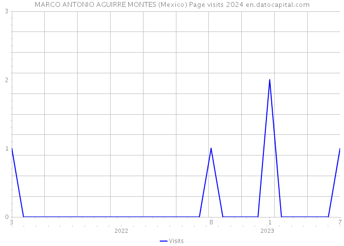 MARCO ANTONIO AGUIRRE MONTES (Mexico) Page visits 2024 