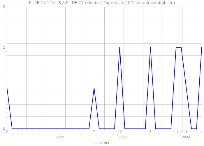 PURE CAPITAL S A P I DE CV (Mexico) Page visits 2024 