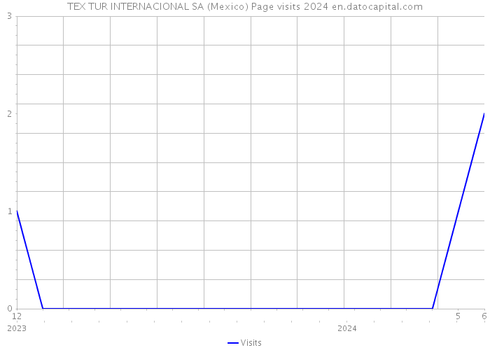 TEX TUR INTERNACIONAL SA (Mexico) Page visits 2024 