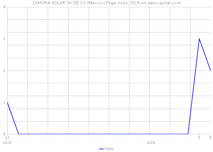 ZAMORA SOLAR SA DE CV (Mexico) Page visits 2024 