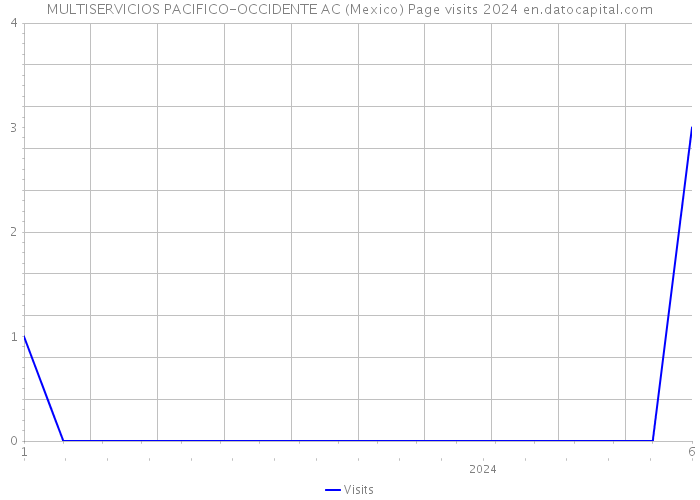 MULTISERVICIOS PACIFICO-OCCIDENTE AC (Mexico) Page visits 2024 