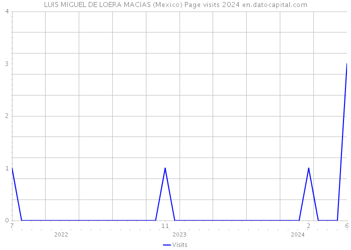 LUIS MIGUEL DE LOERA MACIAS (Mexico) Page visits 2024 