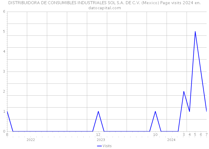 DISTRIBUIDORA DE CONSUMIBLES INDUSTRIALES SOL S.A. DE C.V. (Mexico) Page visits 2024 