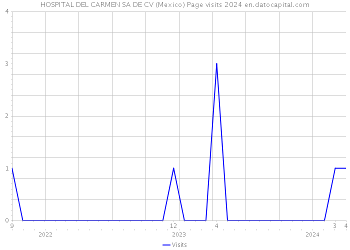 HOSPITAL DEL CARMEN SA DE CV (Mexico) Page visits 2024 