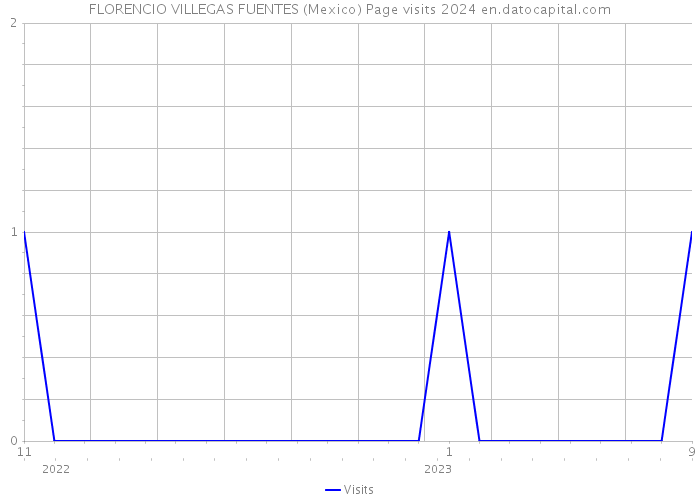 FLORENCIO VILLEGAS FUENTES (Mexico) Page visits 2024 