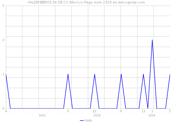 VALDENEBROS SA DE CV (Mexico) Page visits 2024 