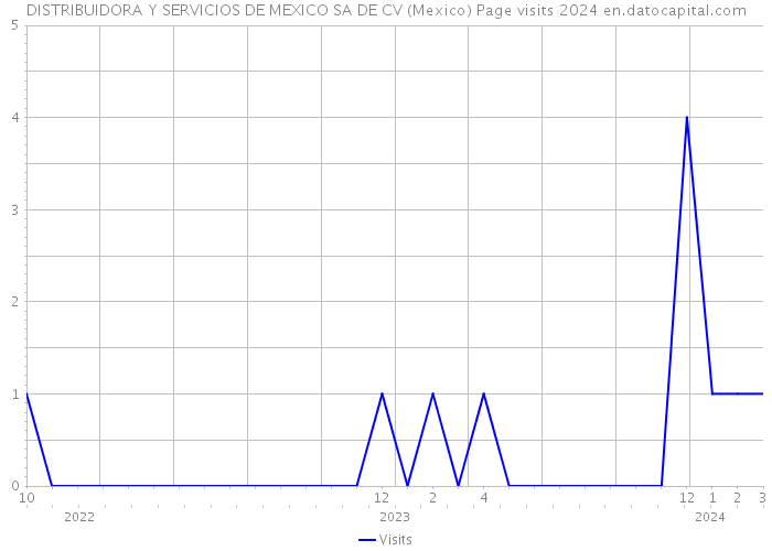 DISTRIBUIDORA Y SERVICIOS DE MEXICO SA DE CV (Mexico) Page visits 2024 