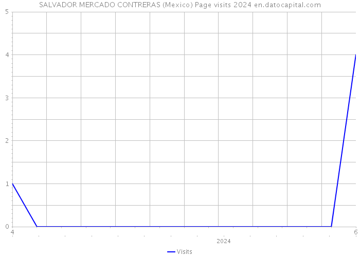 SALVADOR MERCADO CONTRERAS (Mexico) Page visits 2024 