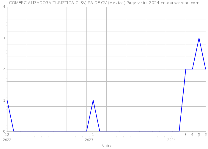 COMERCIALIZADORA TURISTICA CLSV, SA DE CV (Mexico) Page visits 2024 