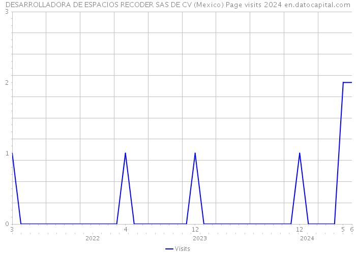 DESARROLLADORA DE ESPACIOS RECODER SAS DE CV (Mexico) Page visits 2024 