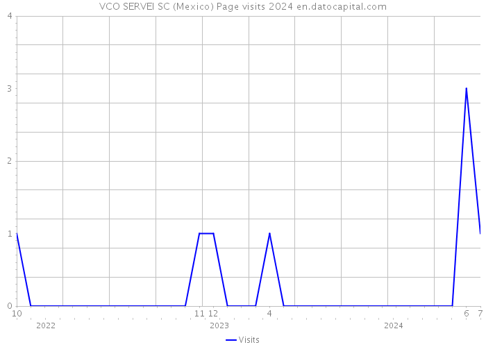VCO SERVEI SC (Mexico) Page visits 2024 