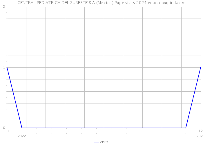 CENTRAL PEDIATRICA DEL SURESTE S A (Mexico) Page visits 2024 