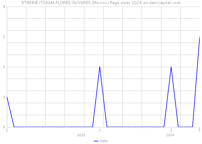 ETIENNE ITZAAM FLORES OLIVARES (Mexico) Page visits 2024 