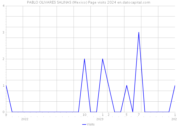 PABLO OLIVARES SALINAS (Mexico) Page visits 2024 