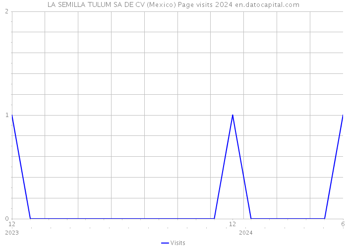 LA SEMILLA TULUM SA DE CV (Mexico) Page visits 2024 