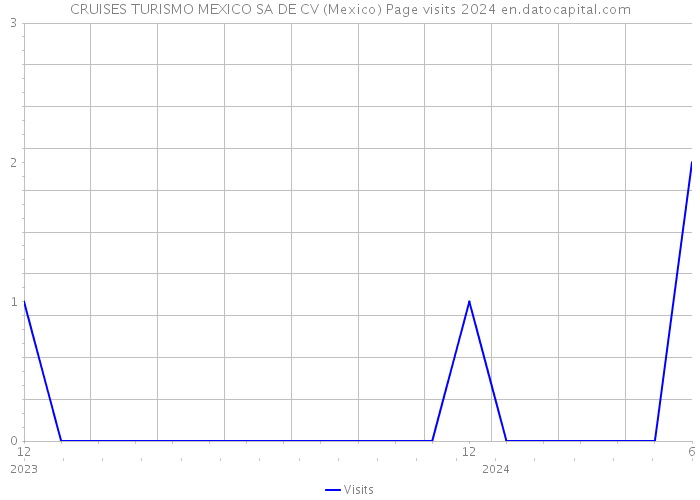 CRUISES TURISMO MEXICO SA DE CV (Mexico) Page visits 2024 