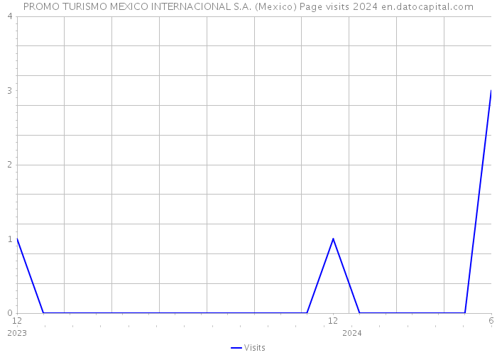 PROMO TURISMO MEXICO INTERNACIONAL S.A. (Mexico) Page visits 2024 