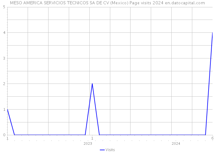 MESO AMERICA SERVICIOS TECNICOS SA DE CV (Mexico) Page visits 2024 
