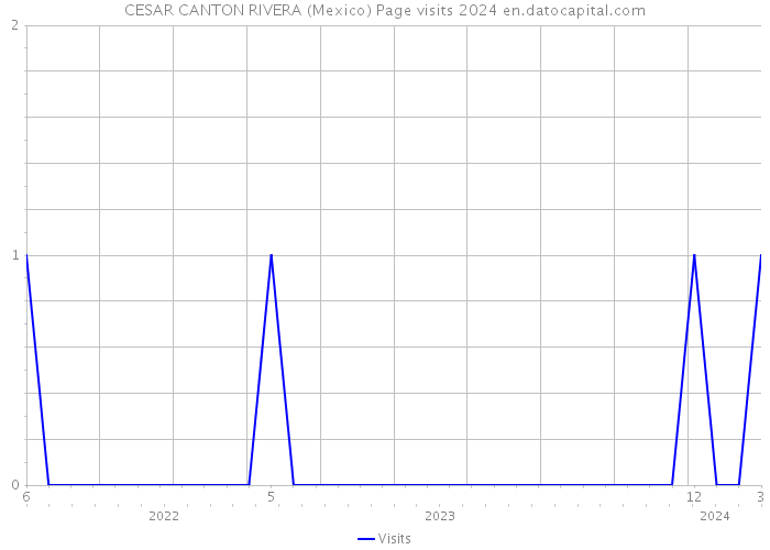 CESAR CANTON RIVERA (Mexico) Page visits 2024 