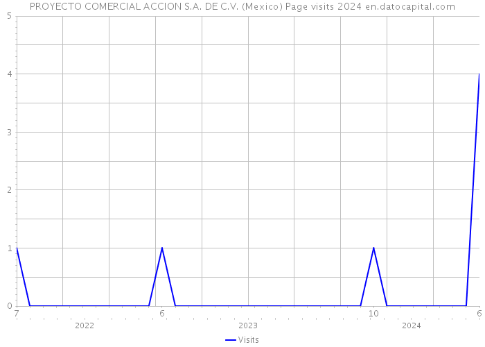 PROYECTO COMERCIAL ACCION S.A. DE C.V. (Mexico) Page visits 2024 
