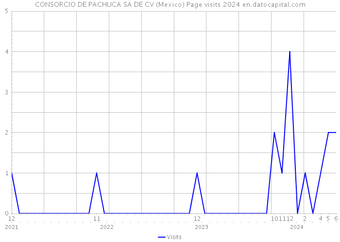 CONSORCIO DE PACHUCA SA DE CV (Mexico) Page visits 2024 