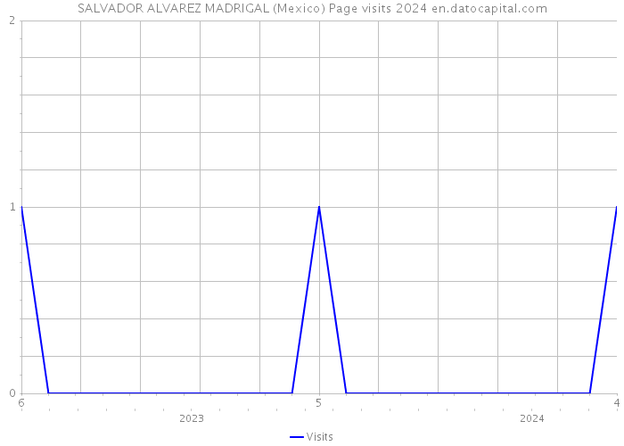 SALVADOR ALVAREZ MADRIGAL (Mexico) Page visits 2024 