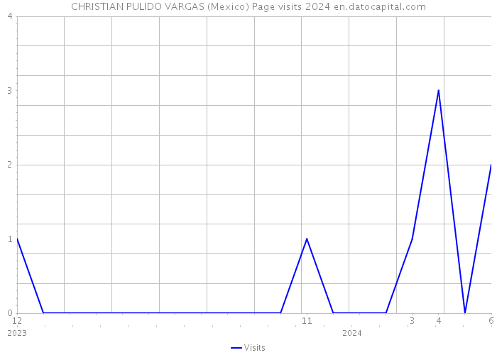 CHRISTIAN PULIDO VARGAS (Mexico) Page visits 2024 